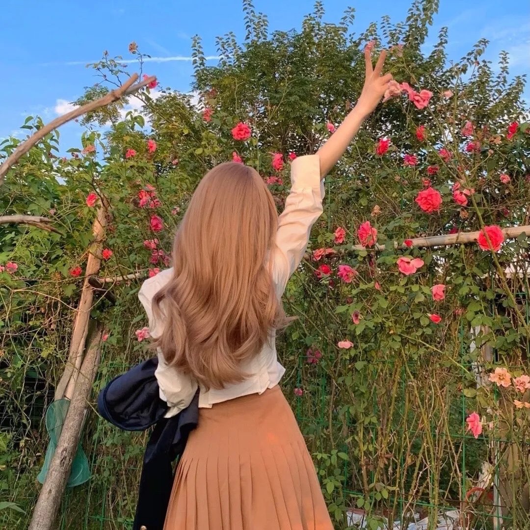 牵牛的夏天